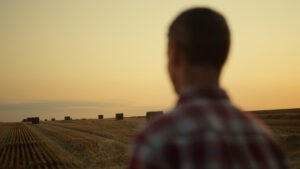 Farmer standing on haystack field golden sunset back view. Unknown man agronomist worker silhouette observe grain wheat crop control harvesting process at rural landscape. Agribusiness concept